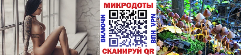 Псилоцибиновые грибы Psilocybe  Николаевск-на-Амуре 